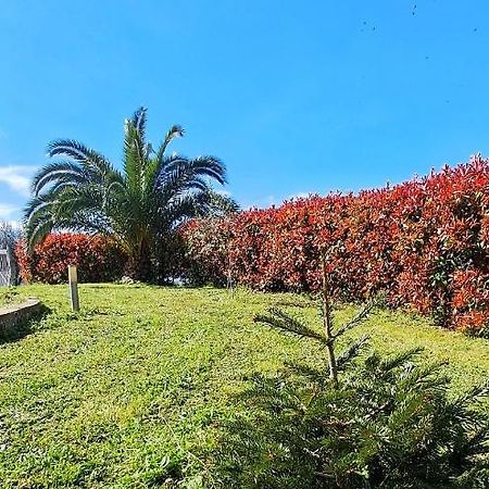 La Bella Addormentata Bed & Breakfast Chieti Exterior photo