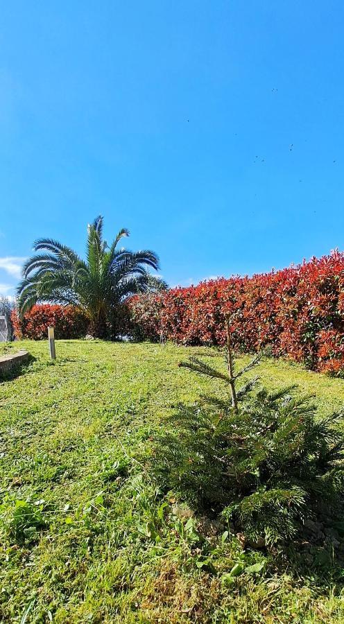 La Bella Addormentata Bed & Breakfast Chieti Exterior photo